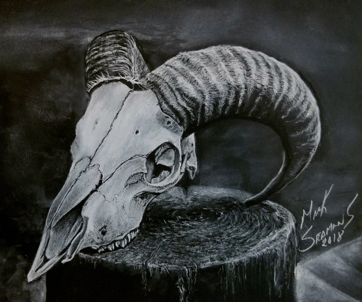 RAM skull