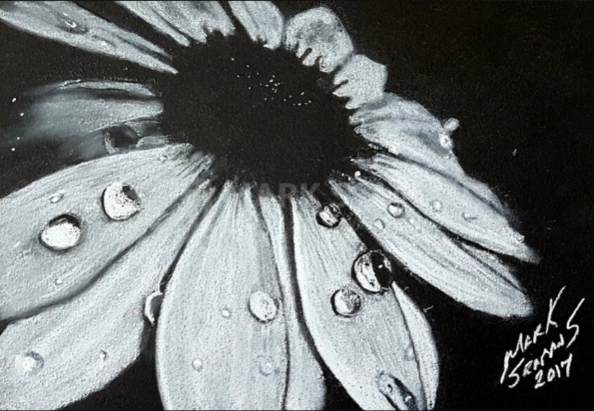 Daisy Charcoal Portrait
