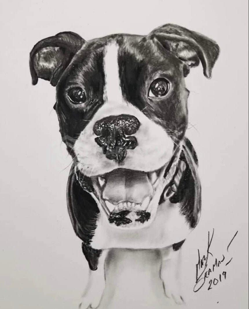 Charcoal Dog Portrait