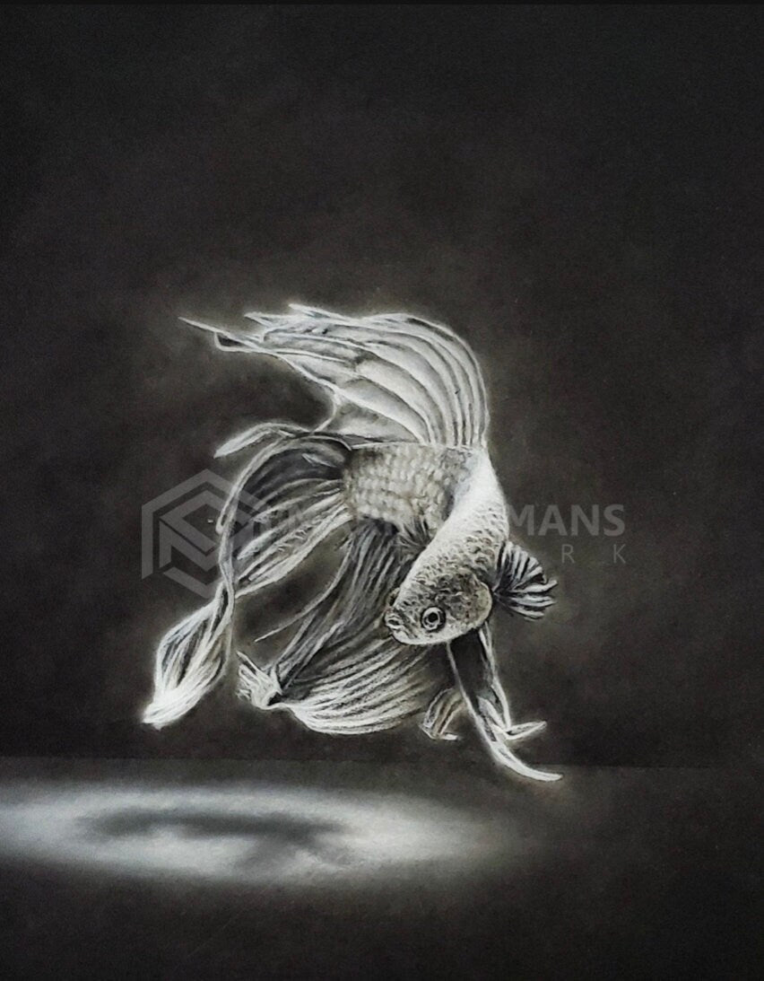 Betta Charcoal Portrait
