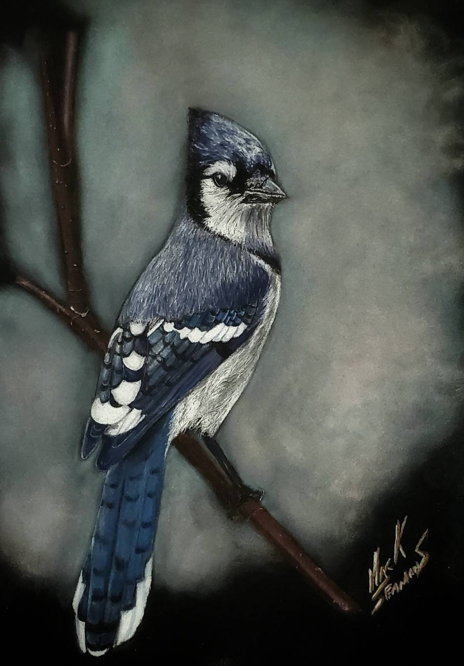 BLUE JAY in Pastel