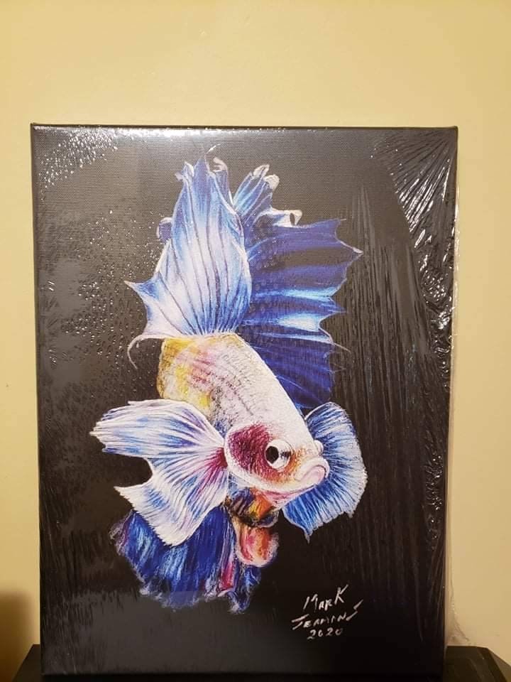 Betta Fish Pencil Crayon Portrait