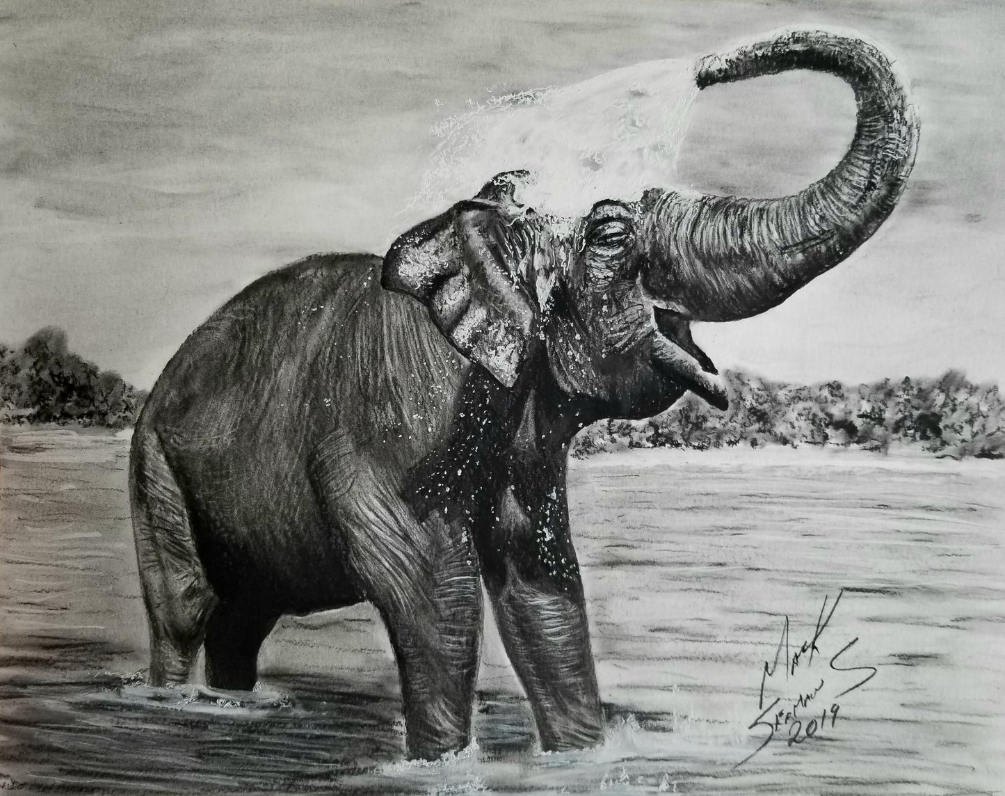 Elephant Charcoal Portrait