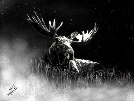 Lazy Moose in morning mist