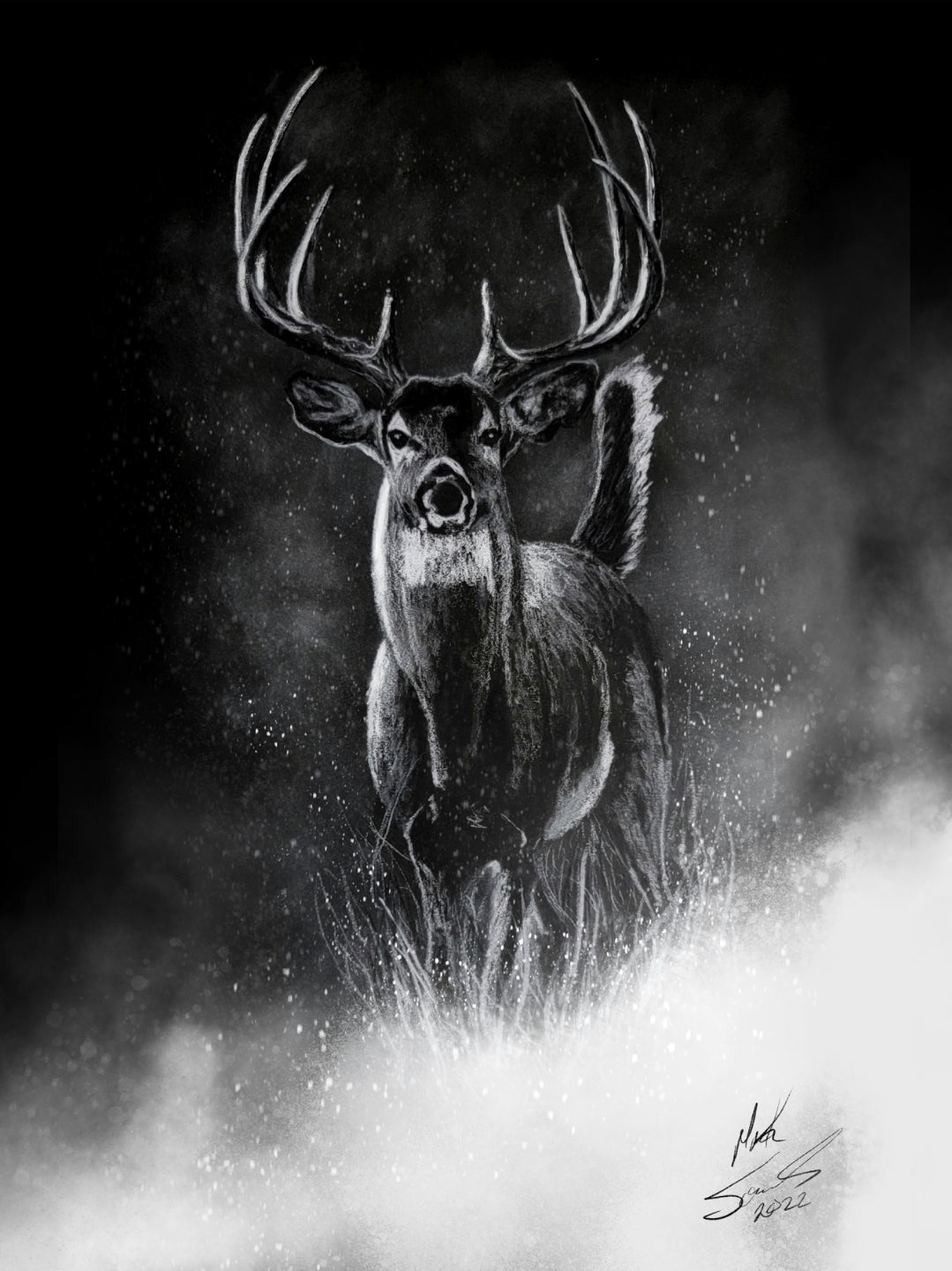 White-Tailed Deer Charcoal Drawing: Black Paper Print or Canvas