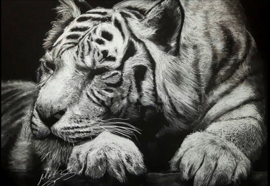 White Tiger Charcoal Portrait