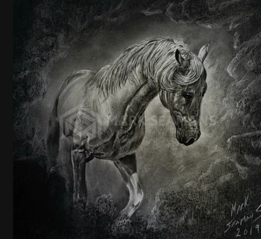 Charcoal Horse Portrait