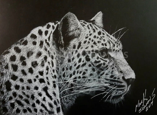 Leopard Charcoal Portrait