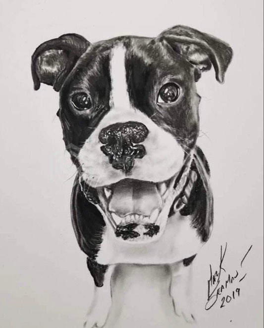 Charcoal Dog Portrait