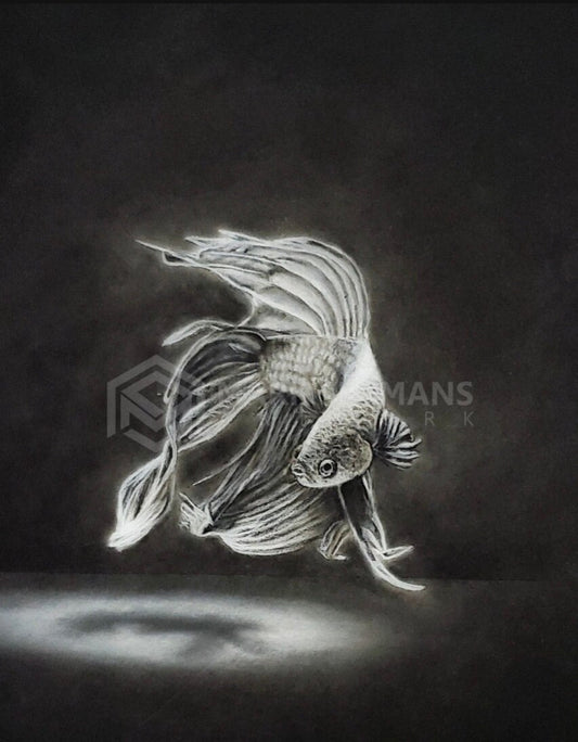 Betta Charcoal Portrait