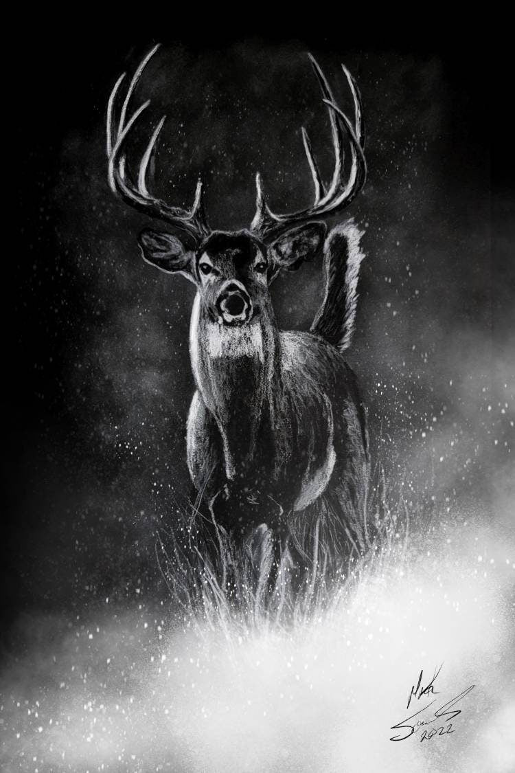 Morning Mist White Charcoal on black paper