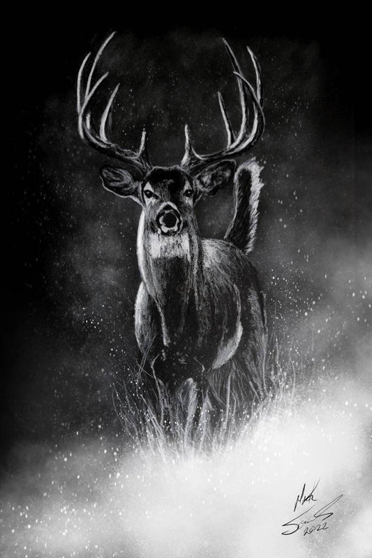 Morning Mist White Charcoal on black paper