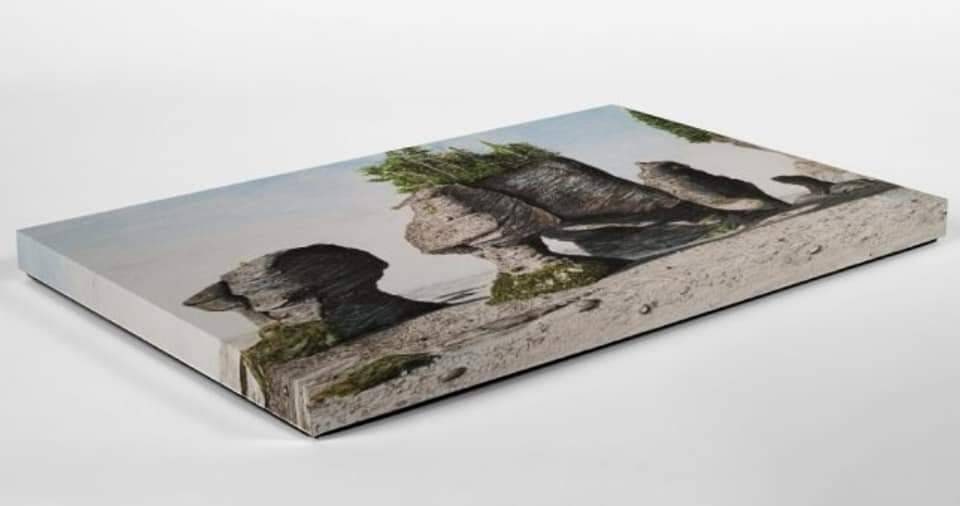 Hopewell Rocks Pencil Crayon Portrait